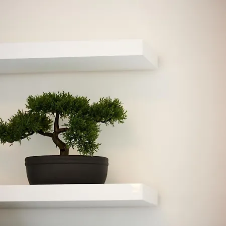 Apartamento Rikard *