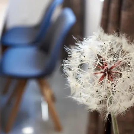 Rikard * تروغير