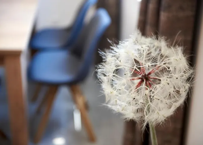 Rikard * Трогир